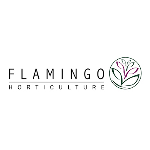 Flamingo Group International